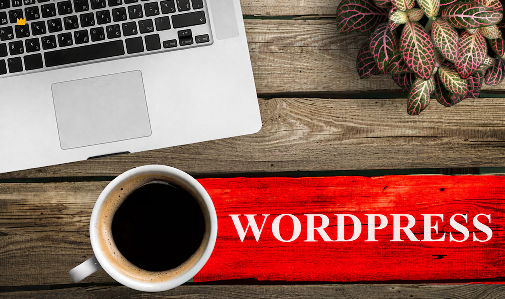 WordPress Development